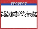 合肥叛逆学校是不是正规学校呀(合肥叛逆学校正规吗)