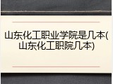 山东化工职业学院是几本(山东化工职院几本)