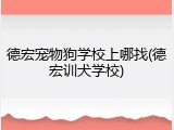德宏宠物狗学校上哪找(德宏训犬学校)