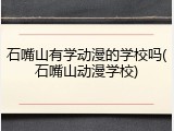 石嘴山有学动漫的学校吗(石嘴山动漫学校)