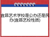 宜昌艺术学校是公办还是民办(宜昌艺校性质)
