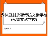 少林登封永智传统文武学校(永智文武学校)
