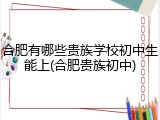 合肥有哪些贵族学校初中生能上(合肥贵族初中)