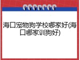 海口宠物狗学校哪家好(海口哪家训狗好)