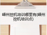 嵊州挖机培训哪里有(嵊州挖机培训点)