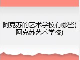 阿克苏的艺术学校有哪些(阿克苏艺术学校)