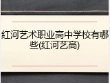 红河艺术职业高中学校有哪些(红河艺高)