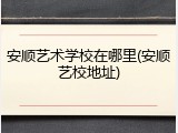 安顺艺术学校在哪里(安顺艺校地址)