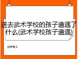 送去武术学校的孩子遭遇了什么(武术学校孩子遭遇)