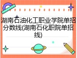 湖南石油化工职业学院单招分数线(湖南石化职院单招线)