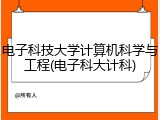 电子科技大学计算机科学与工程(电子科大计科)