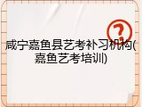 咸宁嘉鱼县艺考补习机构(嘉鱼艺考培训)