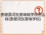 贵德县河东寄宿制学校怎么样(贵德河东寄宿学校)