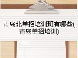 青岛北单招培训班有哪些(青岛单招培训)