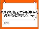 张家界好的艺术学校中专有哪些(张家界艺术中专)