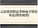 山东商务职业学院电子商务专业(商务电商)