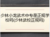少林小龙武术中专是正规学校吗(少林武校正规吗)