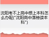 沈阳考不上高中想上本科怎么办呢("沈阳高中落榜读本科")