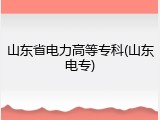 山东省电力高等专科(山东电专)
