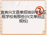 宜宾兴文县单招培训学校正规学校有那些(兴文单招正规校)
