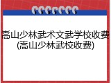 嵩山少林武术文武学校收费(嵩山少林武校收费)