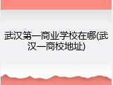 武汉第一商业学校在哪(武汉一商校地址)