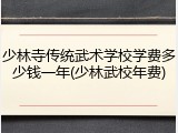 少林寺传统武术学校学费多少钱一年(少林武校年费)