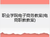 职业学院电子商务教案(电商职教教案)