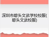 深圳市碧头文武学校校服(碧头文武校服)
