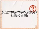 友谊少林武术学校官网(少林武校官网)