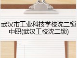 武汉市工业科技学校沈二锁中职(武汉工校沈二锁)
