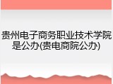 贵州电子商务职业技术学院是公办(贵电商院公办)