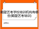 鹤壁艺考学校培训机构有哪些(鹤壁艺考培训)