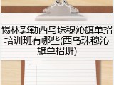 锡林郭勒西乌珠穆沁旗单招培训班有哪些(西乌珠穆沁旗单招班)