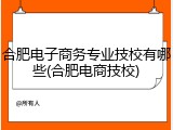 合肥电子商务专业技校有哪些(合肥电商技校)