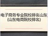 电子商务专业院校排名山东(山东电商院校排名)