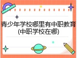 青少年学校哪里有中职教育(中职学校在哪)