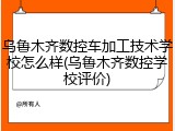 乌鲁木齐数控车加工技术学校怎么样(乌鲁木齐数控学校评价)