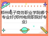 郑州电子商务职业学院哪个专业好(郑州电商职院好专业)