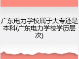 广东电力学校属于大专还是本科(广东电力学校学历层次)