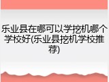 乐业县在哪可以学挖机哪个学校好(乐业县挖机学校推荐)