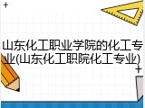 山东化工职业学院的化工专业(山东化工职院化工专业)