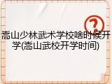 嵩山少林武术学校啥时候开学(嵩山武校开学时间)