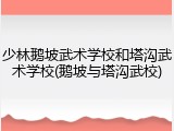 少林鹅坡武术学校和塔沟武术学校(鹅坡与塔沟武校)