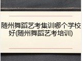 随州舞蹈艺考集训哪个学校好(随州舞蹈艺考培训)