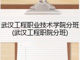 武汉工程职业技术学院分班(武汉工程职院分班)
