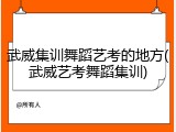 武威集训舞蹈艺考的地方(武威艺考舞蹈集训)
