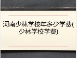 河南少林学校年多少学费(少林学校学费)