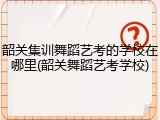 韶关集训舞蹈艺考的学校在哪里(韶关舞蹈艺考学校)