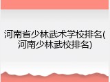 河南省少林武术学校排名(河南少林武校排名)
